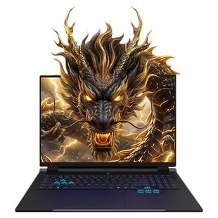 机械革命 苍龙18Pro 锐龙9 9955HX RTX5060 独显电竞游戏本学生笔记本电脑设计官方旗舰店