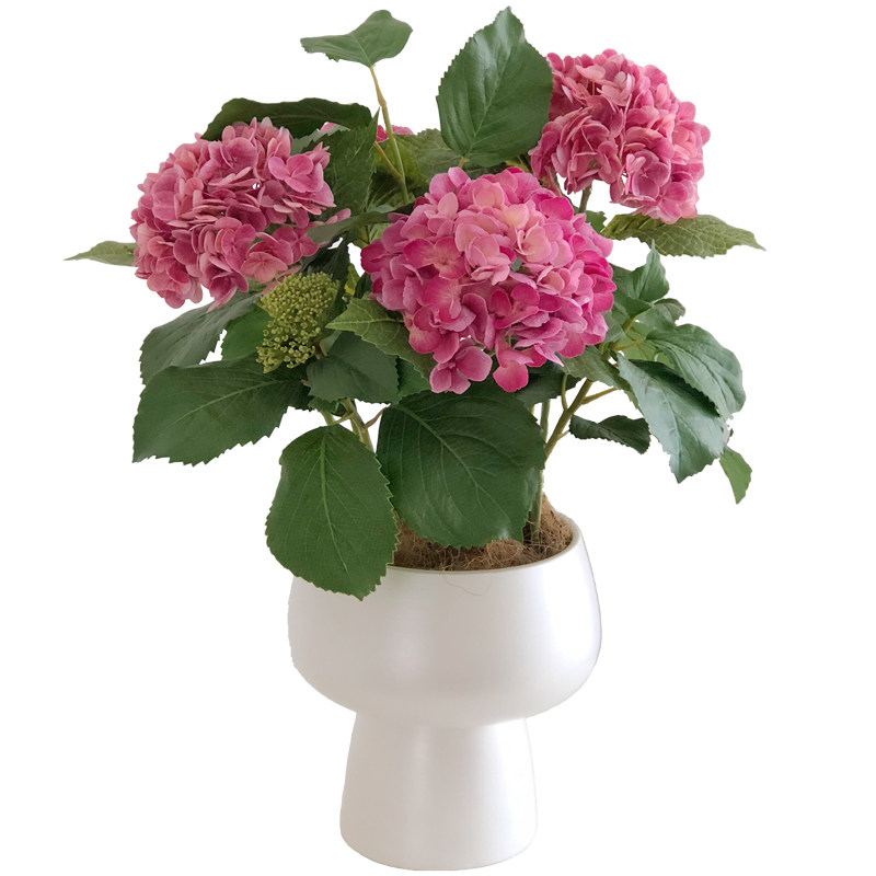 绣球花绣球高档ins带花瓶