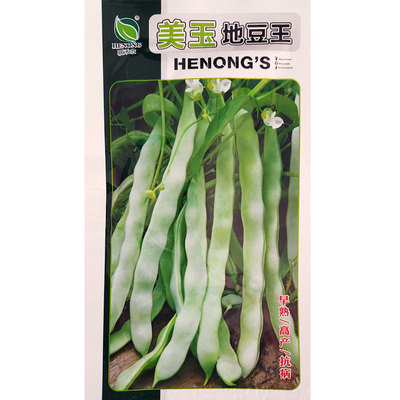 美玉地豆王种子不搭架