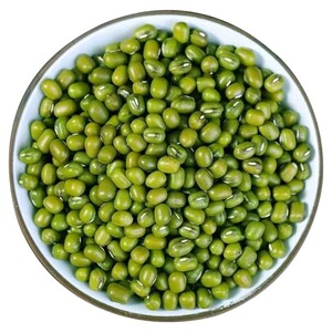 东北新货农家绿豆易出沙可发芽