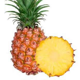 金钻凤梨新鲜正宗菠萝孕妇水果手撕风梨当季特产大果整箱包邮