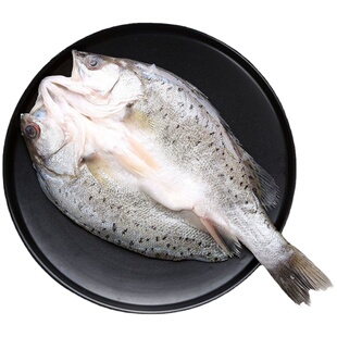 海鲈鱼开背新鲜冷冻鲜活深海鱼七星鱼海鱼鲈鱼水产烤鱼半成品商用