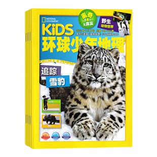 【送好礼】环球少年地理杂志幼儿版杂志+游戏书+贴纸2026年4月起订阅 共12期美国国家地理little kids 低幼科普幼儿绘本启蒙书订阅