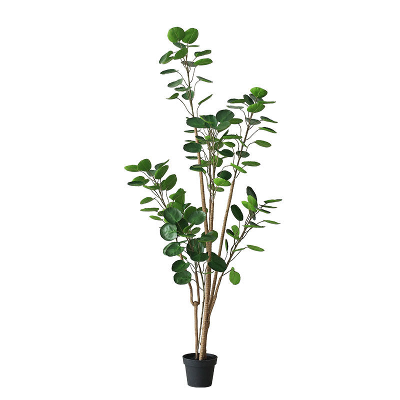 七茉仿真植物发财树大中型福禄桐
