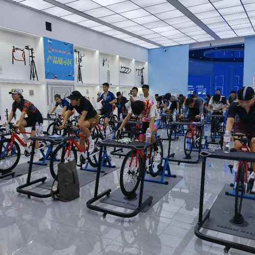 磁阻线控骑行台 自行车山地车公路车训练台磁组室内健身骑行台