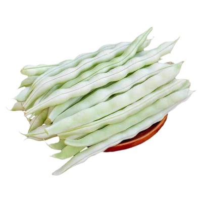 白不老芸豆大白豆角新鲜白大架不老四季豆蔬菜当季扁无筋刀豆应季