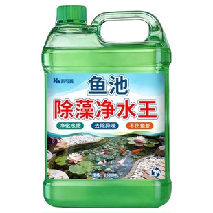 鱼池除藻去苔剂鱼缸青苔清除剂神器蓝藻丝藻黑毛藻浮萍鱼塘绿藻￥