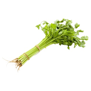 蟋蟀牌四季小香芹种子芹菜种籽秧苗芹菜种子季青菜籽蔬菜种孑农家