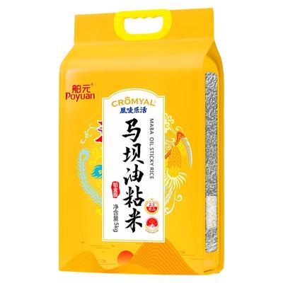 煲仔饭马坝油粘米籼米地标大米