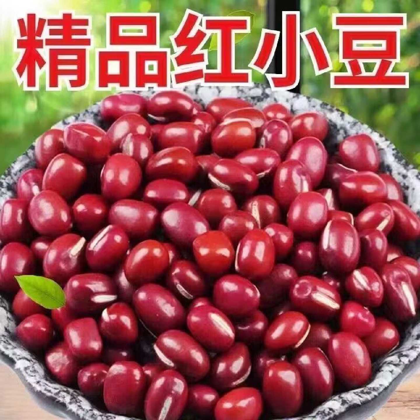 特价红小豆当季新货农家自种新红豆商用批发精品红小豆熬豆沙