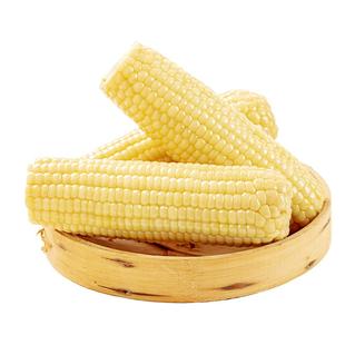 析芮东北新鲜香甜白糯玉米5斤10支有机真空装包代餐粒官方旗舰店