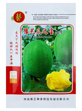 瓜之宝九号西瓜种子绿皮黄瓤