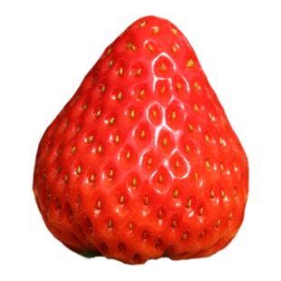 丹东99草莓新鲜水果礼盒九九红颜奶油牛奶顺丰大草莓当季整箱久久