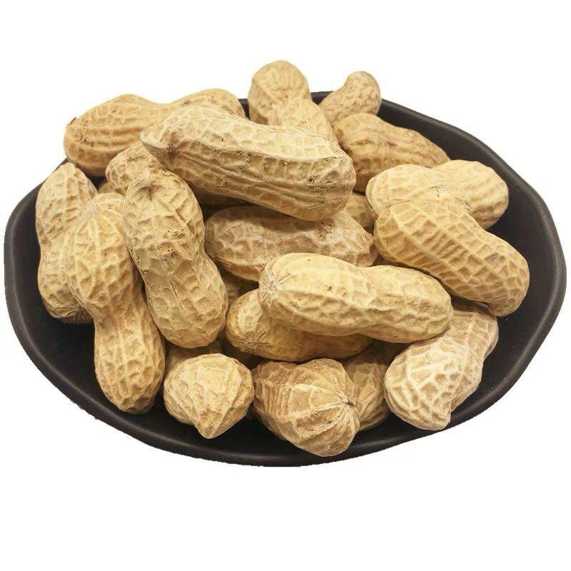 新货河南特产长领花生500g熟奶香卤味咸干蒜香味5斤带壳炒货年货