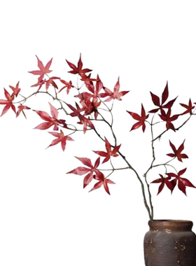 仿真红叶枫树叶假树叶喜庆红火