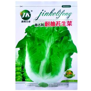 意大利耐抽苔生菜种子脆爽阳台盆栽庭院春四季播农家疏蔬菜种籽孑