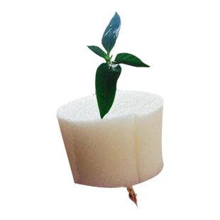 定植海绵圆形黑色无土栽培设备种植棉阳台水培种蔬菜固根器定植篮