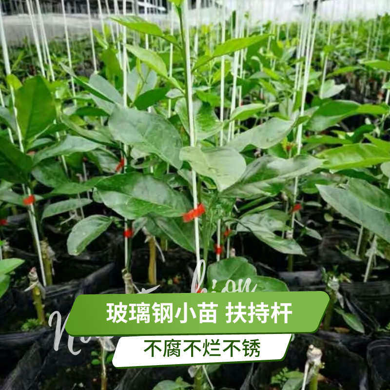花卉支撑小苗番茄子大棚玻璃纤维菜地拱棚固定棚架爬藤网植物豆角,鲜花速递/花卉仿真/绿植园艺,其它园艺用品,淘宝优惠券,粉丝福利购,淘宝优惠卷