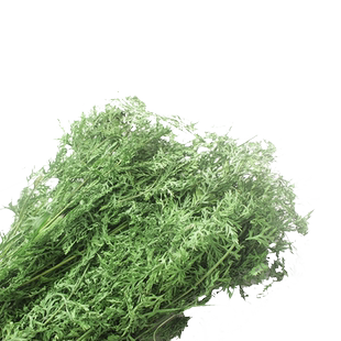 烘干胡萝卜缨兔子干草饲料草料龙猫豚鼠牧草胡萝卜樱叶子500克