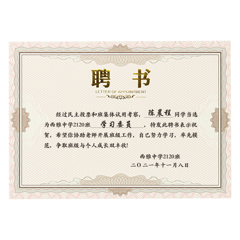 聘书内页内芯高档加厚家委会班干部学生会企业优秀员工奖状纸a4可打印空白定制捐赠结业荣誉证书内心