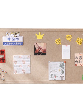 毛毡板墙贴自粘学校家用主题照片