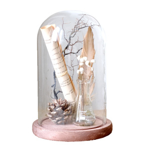 书房样板间玻璃罩科普植物摆件花艺植物主题永生花展示盒装饰品