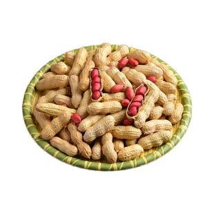 当季新货红皮花生果四粒红新货新鲜晒干小粒带壳生的花生红衣花生