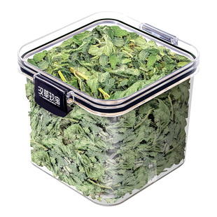 【头茬嫩叶】新鲜薄荷叶可食用官方旗舰店正品薄荷叶干菊花泡茶喝