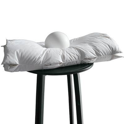 SIDANDA鹅绒分区颈椎枕单人枕芯