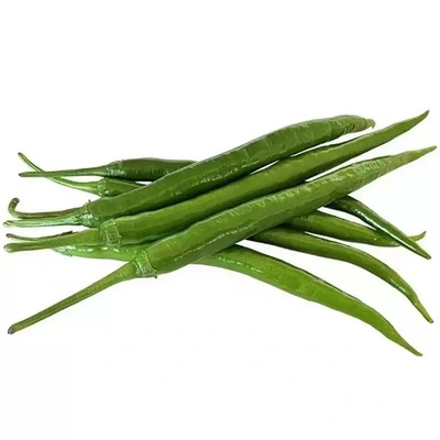 正宗贵州新鲜青线椒长青椒香辣脆爽现摘现发鲜香脆嫩农家自种