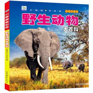 野生动物大百科彩图注音版 动物世界儿童科普小百科全书幼少儿早教启蒙绘本科学认知非dk3-6-10岁小学生一二三年级课外阅读书籍YJ