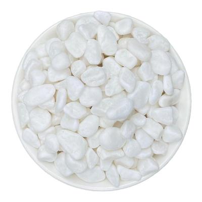 白石子水培植物装饰美化