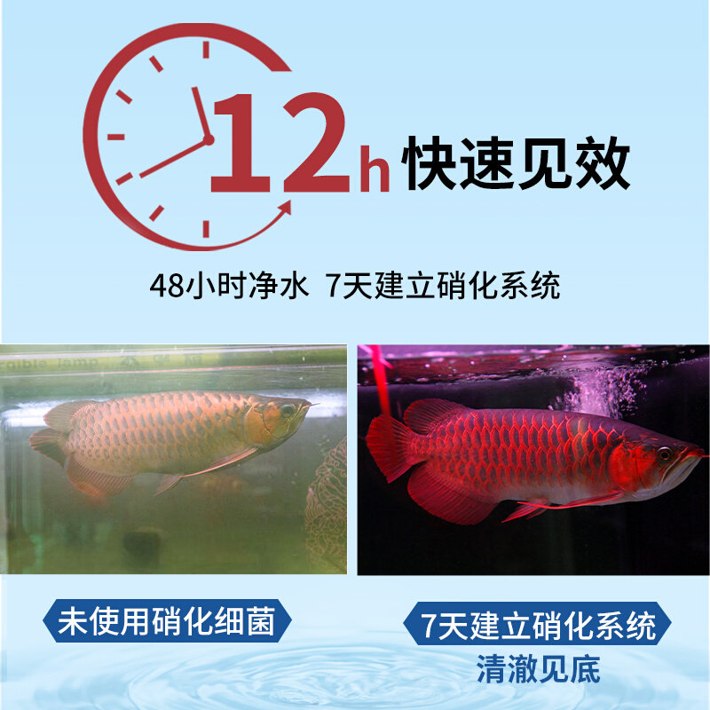 牧龙居硝化细菌鱼缸用净水剂消化菌养鱼用品水质稳定净化水质护理