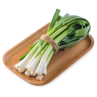 四季青蒜种子【海蒜785】四季青蒜种籽采收阳台农家大田蔬菜种籽