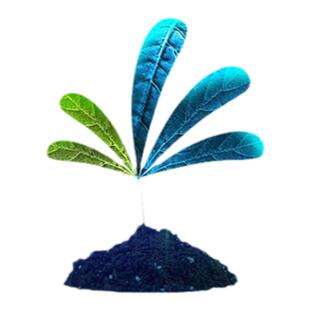 软考高项-信息系统项目管理师全程在线课程|4年有效|论文1V1点评
