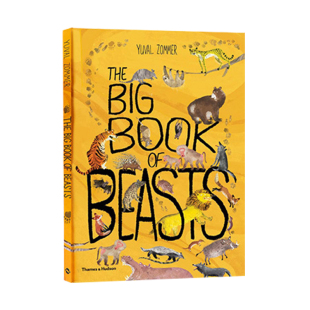 自然科普艺术大书6册精装 The Big Book of Birds鸟类Blue海洋Bugs虫子Blooms花卉Beasts野兽 百花大绘本英文原版百科Yuval Zommer