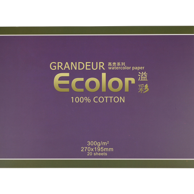 康大溢彩水彩本艺术家进口纸300g