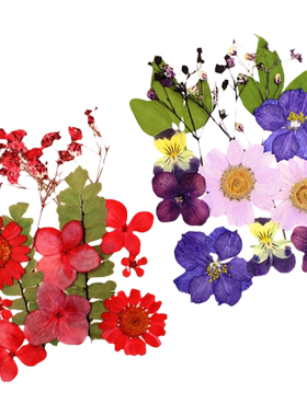 仙菲梦真花干花材料杯垫