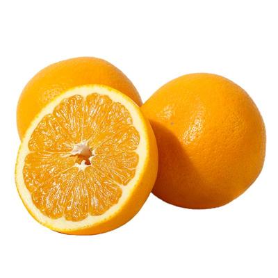 正宗常山胡柚自有基地品质保证