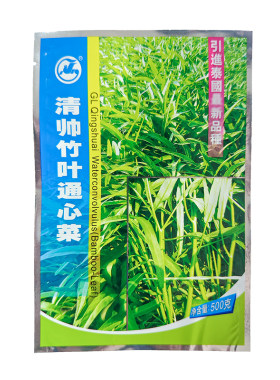 泰国竹叶空心菜种子多次采收