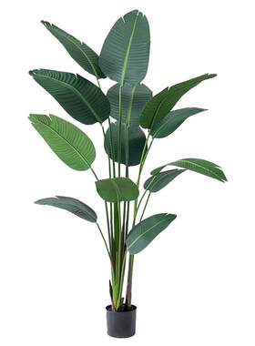 天堂鸟仿真绿植高端轻奢仿生花卉