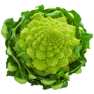 宝塔菜种子籽种籽花椰菜秋季特色花菜种子菜种籽子四季种蔬菜种孑