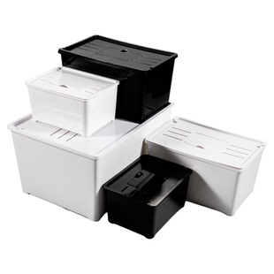 乌龟发色盒活体剃刀西非果核红面窄桥龟饲养盒龟苗发色隔离孵化盒