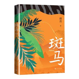 斑马 傅真著 口碑畅销书藏地白皮书作者傅真睽违七年回归之作金龟换酒旅行游记婚姻家庭生育治愈人民文学出版社官方正版