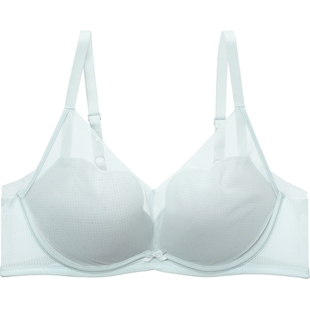 【舒挺杯】安莉芳小胸显大内衣2025新款聚拢收副乳防下垂女士胸罩