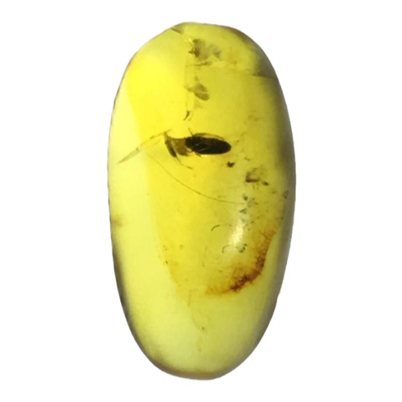 纯天然虫珀昆虫化石琥珀吊坠