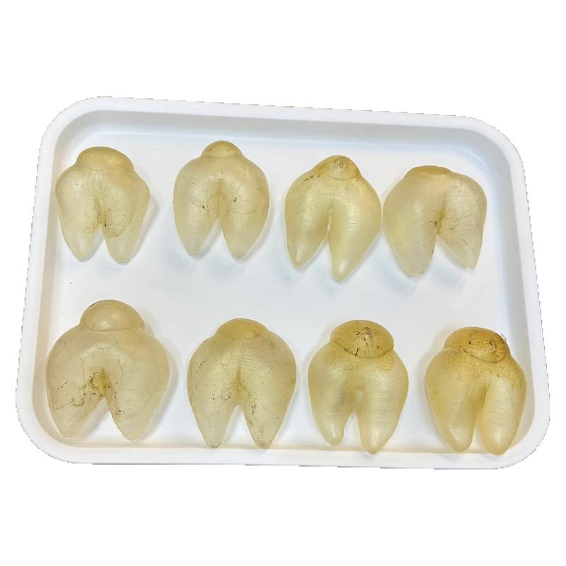 鸡泡胶花胶干货精选鸡泡胶65头花胶/鱼胶及其制品