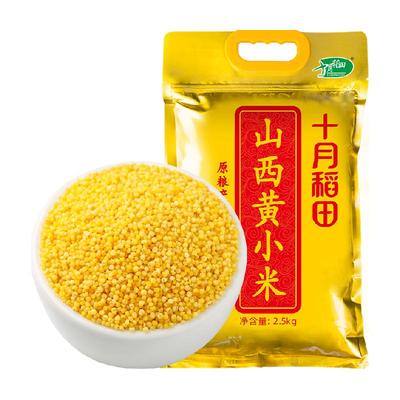 十月稻田山西黄小米特产粗粮