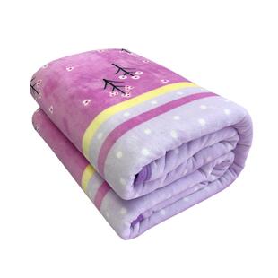 冬季珊瑚绒加绒床单绒毯单件牛奶绒法兰绒毛毯垫被单双人秋冬加厚