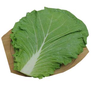 打饭包叶东北大白菜叶新鲜蔬菜叶散装大白菜叶子即食蘸酱菜顺丰